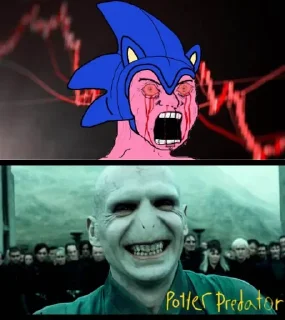 Sticker from Potter Predator $VOLDEMORT