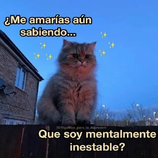 😢 emoji Gatitos Telegram sticker 16 of 71