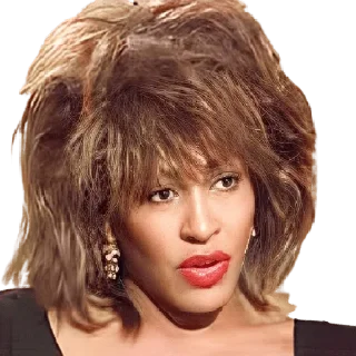 🧐 emoji Tina Turner Telegram sticker 7 of 9