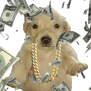 💸 emoji JOTCHUA ETH Telegram sticker 15 of 63