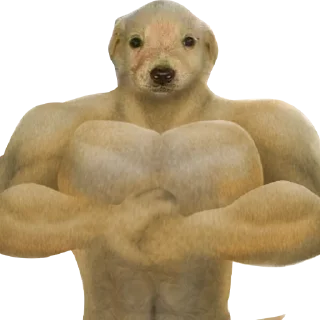 💪 emoji JOTCHUA ETH Telegram sticker 9 of 63