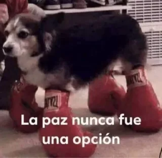 😤 emoji Sí. Telegram sticker 12 of 59