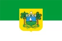 🎄 emoji BANDEIRAS BRASIL Telegram sticker 21 of 28