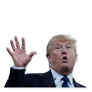 😊 emoji Donny-Trump Telegram sticker 11 of 28