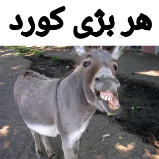 🐴 emoji Iranian Racism Telegram sticker 23 of 113