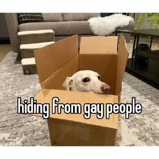 🏳️‍🌈 emoji animal captions Telegram sticker 3 of 35