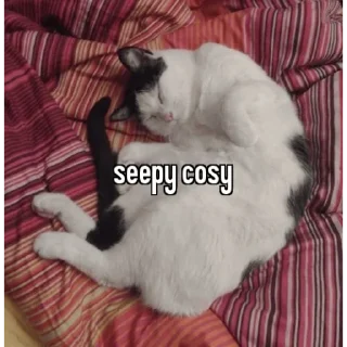 🐱 emoji animal captions Telegram sticker 19 of 35