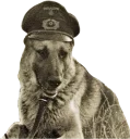 🐶 emoji SIEG HEIL Telegram sticker 10 of 21