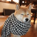 🐺 emoji Doggos Telegram sticker 19 of 68