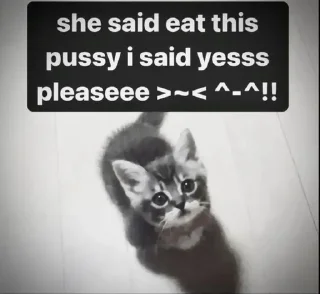 🌟 emoji antipsicóticos Telegram sticker 23 of 60