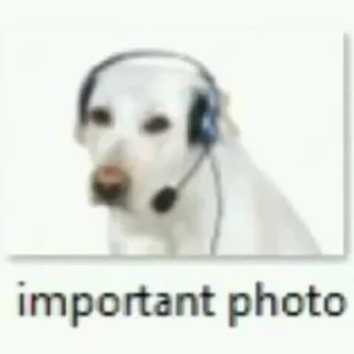 🐕 emoji Si Telegram sticker 12 of 20