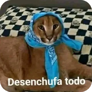 👍 emoji Denle Yupi A @nokasvip Telegram sticker 13 of 120