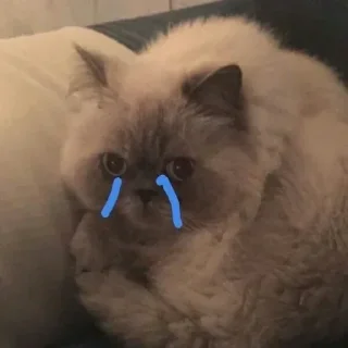 😣 emoji Стикерочки Telegram sticker 8 of 62