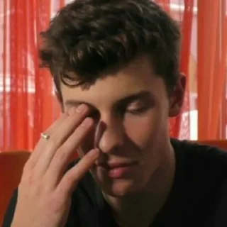 Sticker from Shawn Mendes reacts