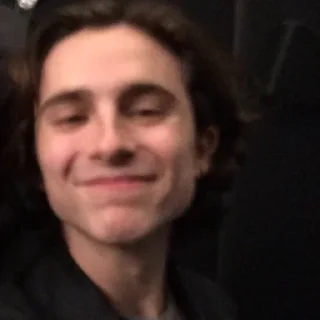 😊 emoji the essence of timothée chalamet by @nathanist Telegram sticker 10 of 60