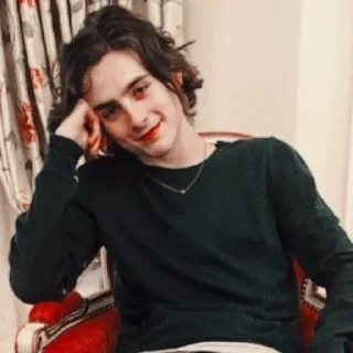 ☺️ emoji the essence of timothée chalamet by @nathanist Telegram sticker 21 of 60