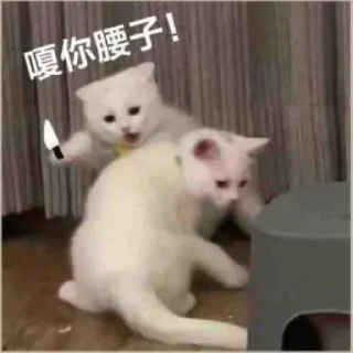 🙈 emoji 全球服务器租用联系 @TGIDC8 Telegram sticker 5 of 62