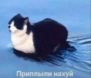 🌟 emoji че за имба стикерпак Telegram sticker 14 of 34