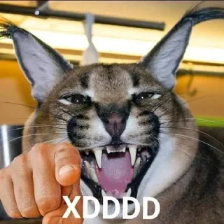 😹 emoji Aesthetic Posting Telegram sticker 23 of 52