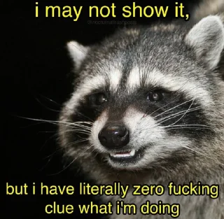 🦝 emoji Racoon 🦝 Telegram sticker 24 of 50