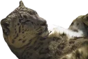 ☺️ emoji Snep Lep Blep Telegram sticker 6 of 119
