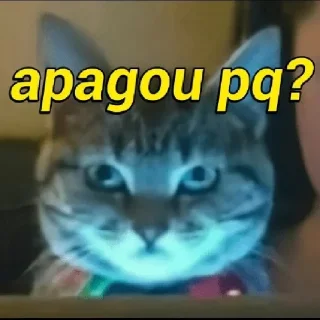 🐱 emoji Animais @igorpandy [Igor Kamandukaia] Telegram sticker 9 of 100