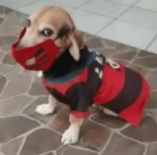 🔴 emoji flamengo Telegram sticker 6 of 37