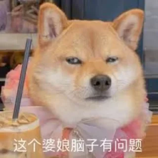 😹 emoji 海外联盟专属表情包 Telegram sticker 18 of 25
