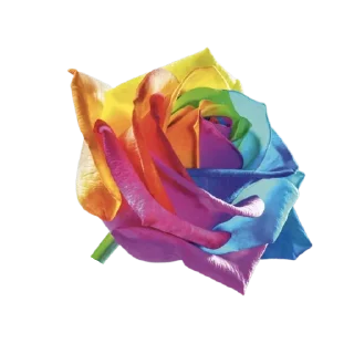 🌹 emoji Joy Colors 07 Telegram sticker 9 of 14