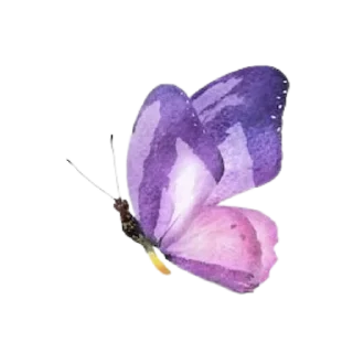 🦋 emoji Joy Colors 07 Telegram sticker 7 of 14