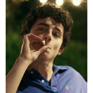 🚬 emoji Timothée Chalamet 💖 Telegram sticker 7 of 62