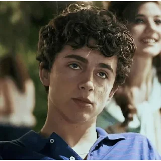 😦 emoji Timothée Chalamet 💖 Telegram sticker 1 of 62