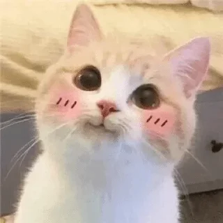 ☺ emoji animals Telegram sticker 12 of 66