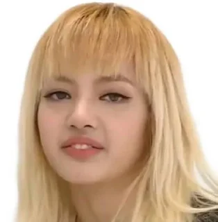 Sticker from Lisa meme @tikelbubbles