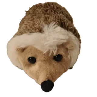 🦔 emoji Mis homosapiens Telegram sticker 7 of 19