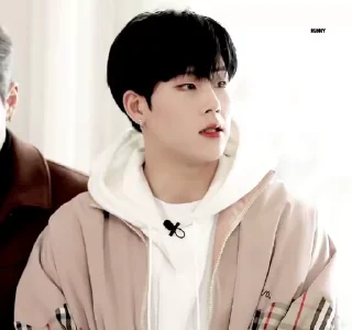 🤨 emoji Jooheon 🦊 @mwtade Telegram sticker 22 of 50