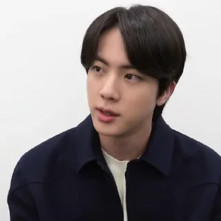 🖇 emoji Jin bts by @stickernct Telegram sticker 13 of 46