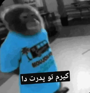 😂 emoji میمون ابی دا @AlaHazRat Telegram sticker 11 of 119