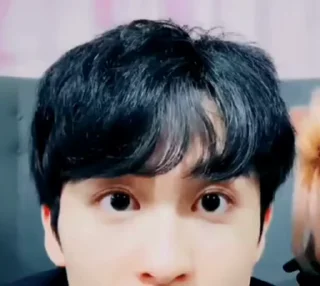 🦜 emoji Mark Lee by @aratickers Telegram sticker 23 of 33