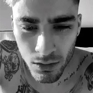🕸 emoji — Zayn Malik ᎓ @OrbSticker ː 🕸៹ Telegram sticker 5 of 50