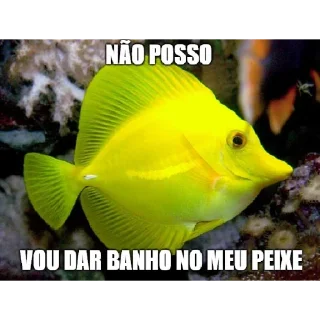 😕 emoji Memes 1 @igorpandy [Igor Kamandukaia] Telegram sticker 2 of 120