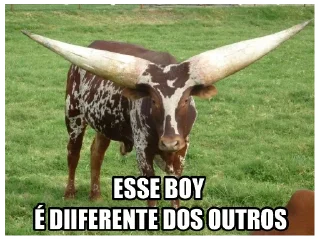 🐂 emoji Lobo Solitário Telegram sticker 20 of 42