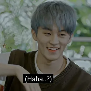 ▪️ emoji ㅤ⌦ MARK LEE @XXMAFIAWEB Telegram sticker 14 of 100