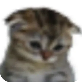 😔 emoji Hmm Telegram sticker 16 of 35