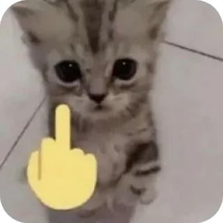 🐱 emoji @sexxnv 'Harry Telegram sticker 13 of 34