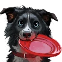Sticker from Vin the Bordeaux Collie