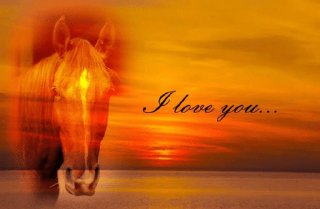 🌟 emoji The Reassuring Horse Telegram sticker 21 of 75