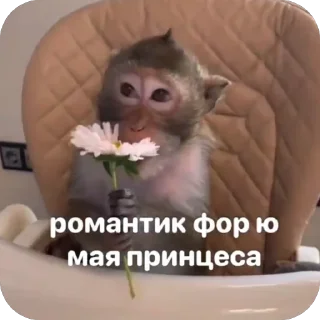 🫥 emoji йой Telegram sticker 17 of 73