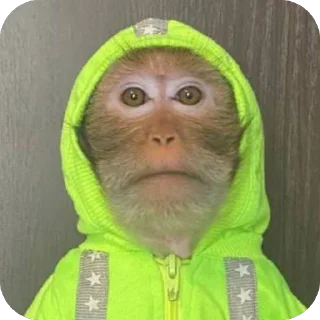 🫥 emoji йой Telegram sticker 8 of 73