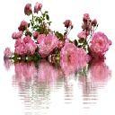 💎 emoji Graciosa @mulherpreciosa Telegram sticker 22 of 116
